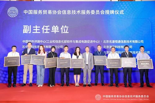 把握时代机遇,共绘美好蓝图 中国服务贸易协会信息技术服务委员会正式成立